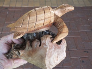Carved turtle on parasite wood